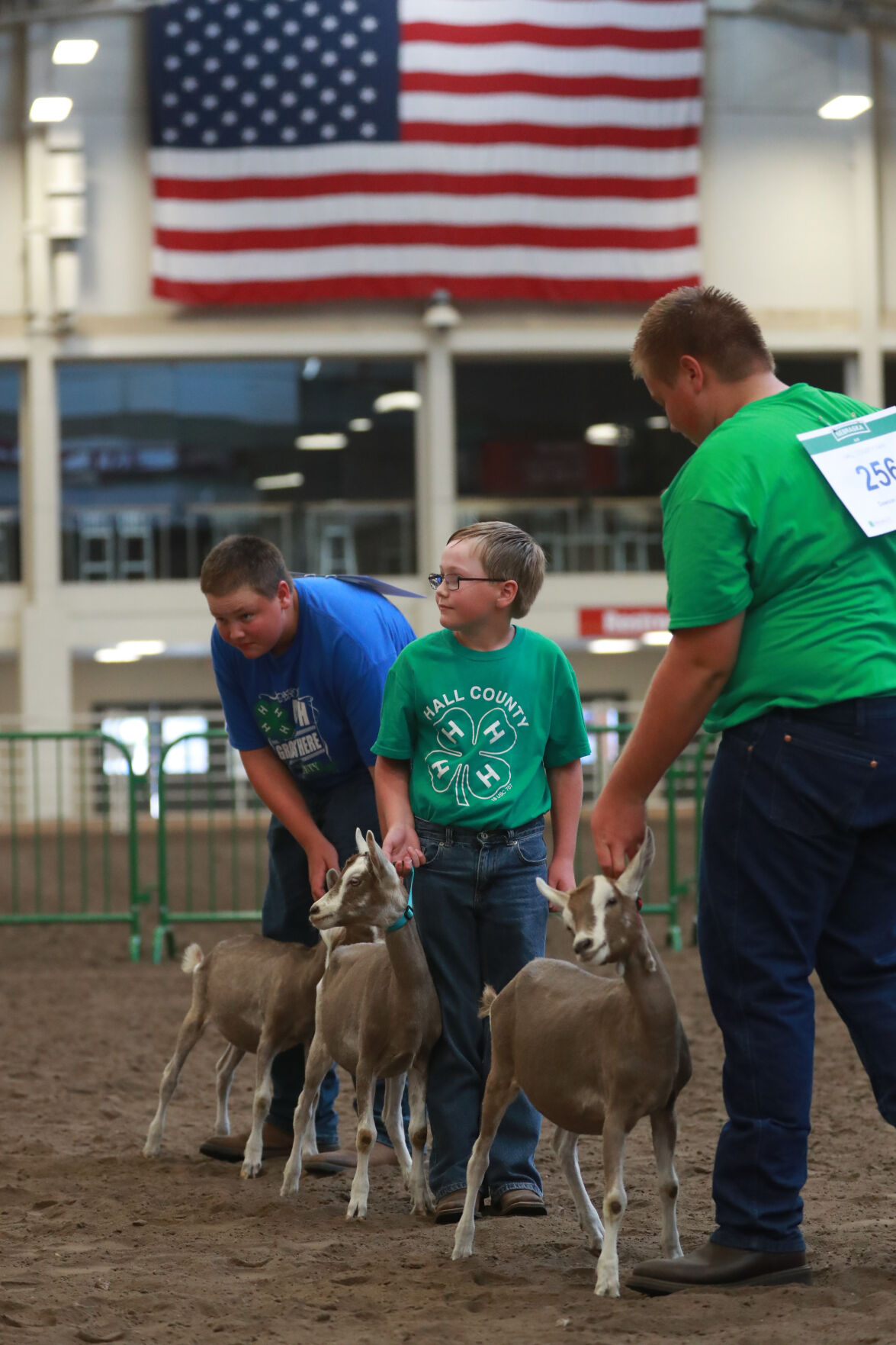 072320_HCFGoatShow021_bjs.JPG